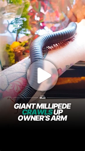 It's so satisfying 🤩 | Daily Mail Video