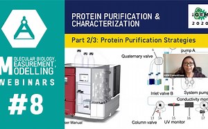 Measurement - Week 8.2 - Protein Purification and Characterization