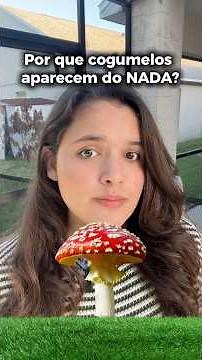 Por que cogumelos aparecem do NADA? 🍄😳
