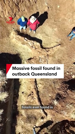 215K views · 3.8K reactions | One of the most complete fossils ever found in Australia has been dug up in outback Queensland. It belonged to a dolphin-like marine reptile that lived more than 100 million years ago. #fossil #dinosaur #paleantology #queensland #australia | 7NEWS Central Queensland | Facebook