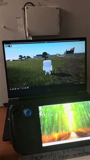 Roblox on VMware