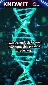 10 Exciting Facts About Biomolecular Engineering | KNOW iT