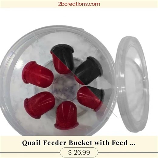 Quail Feeder Bucket with Feed Saver Ports