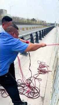 This net is full of giant tilapia | China Fish Hunter Ep197