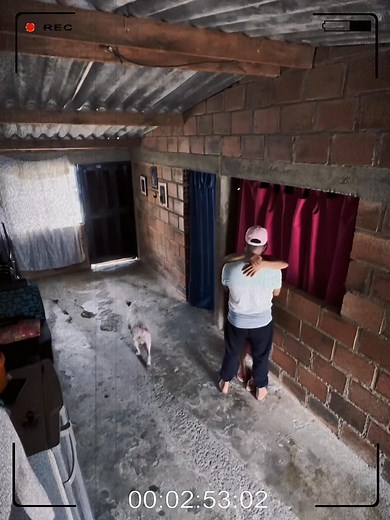 ADVERTENCIA ⚠️ hombre descubre a su ESPOSA siendo 1NF1EL con una cámara oculta 🤯😱 | Virely