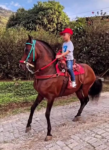 Child Riding a Brown Horse Through Scenic Landscape