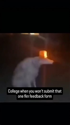 SCMHRD Laughter Lab | They won't give you a hall ticket or results. [ #feedback form, college feedback, university feedback, faculty feedback, #collegememes... | Instagram