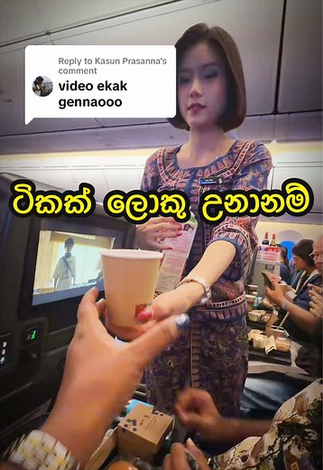 ටිකක් ලොකු උනානම් — කුචි සහ බුචි සමඟ කෑම විලාසිතාවක්