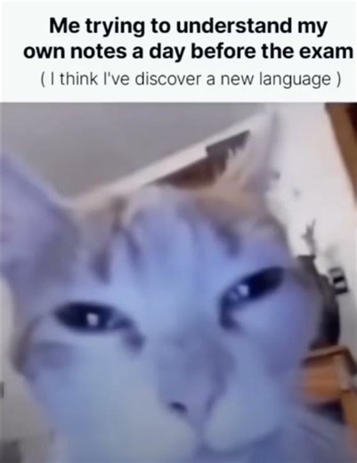 look like the aliens are coming for me🥲 #relatable #funny