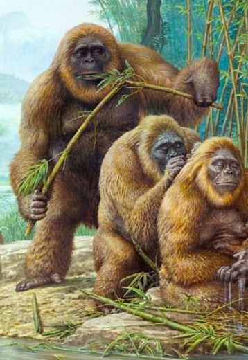 Gigantopithecus: The Giant Primate of Prehistory