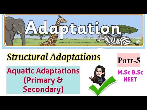 Structural adaptations-Aquatic adaptations-Primary & Secondary Aquatic Adaptations|part-5|M.Sc B.Sc