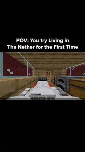 Minecraft Nether Moment