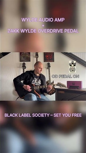 Wylde Audio Amp + Zakk Wylde OD – Set You Free (On vs Off) #guitar #zakkwylde #wyldeaudio #metal