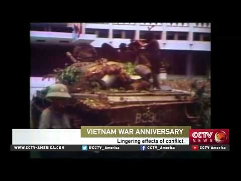 Marilyn Young on the Vietnam war