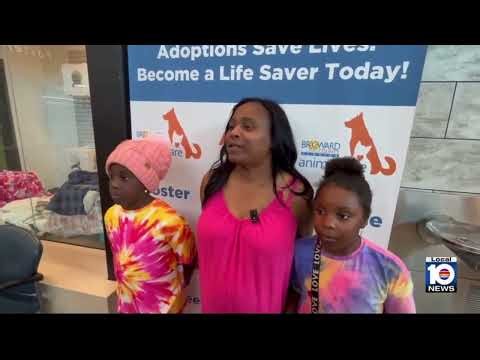 Valentine’s Surprise: Family Adopts Sia During Plenty of Pets #BrowardCounty #AnimalCare #Local10