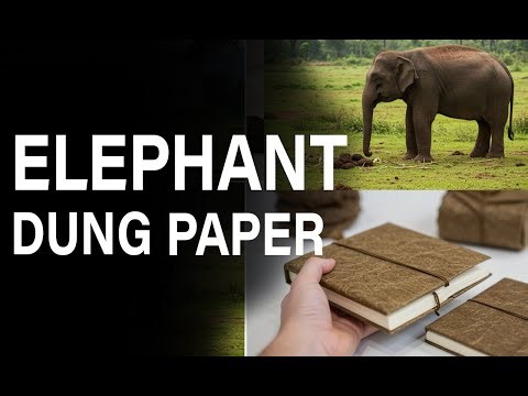 Elephant Paper and Normal Paper | How Actually Luxury Paper Made
