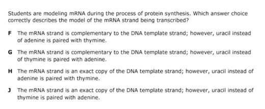 Students are modeling mRNA during the process of protein synthe... | Filo