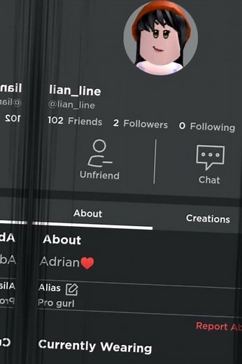 y'all bios in Roblox is cool