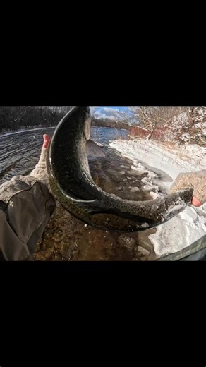 Winter Steelhead Fishing on the Salmon River