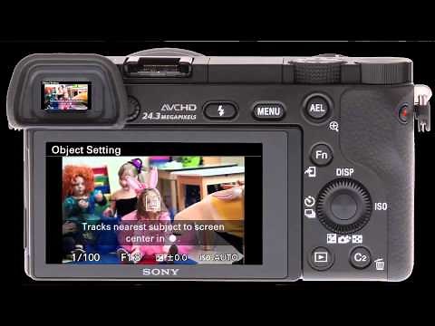 Focus Lock Feature With The Sony a6000 Mirrorless Camera