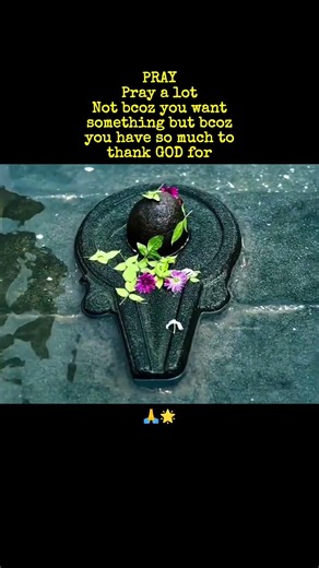 Pray with Gratitude, Not Just Requests 🙏❤️ #Blessed #mahadev #spirituality #sanatandharma #lordshiva