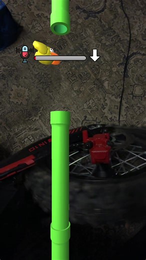 Falppy Bird Adventures with Surron Electric Bike