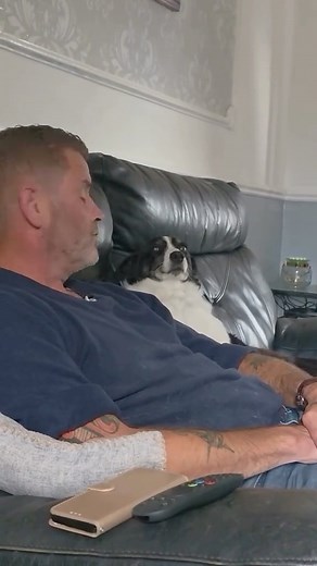 Border Collie Universe on Instagram: "Just a man and his owner 🤣 Lola loves her belly rubs from her daddy 💗 on a serious note though how handsome is my hubby to be 😍 ... ❣️Do you want to see more cute Border Collies? Then follow us. _ Credit : sj.larner on TikTok _ DM for Credit or removal! _ #bordercollie #bordercolliesofinstagram #bordercollies #bordercolliepuppy #bordercollielovers #bordercolliesoftheworld #bordercollieoftheday #bordercollielife #bordercolliegram #bordercollielove #borderc