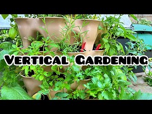 What to Grow in Stackable Planters | Vertical Gardening Ideas | Garden Tower 50 Plant System |