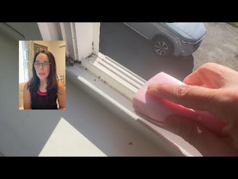 Damp Cleaning Sponge for Blinds & Dusting