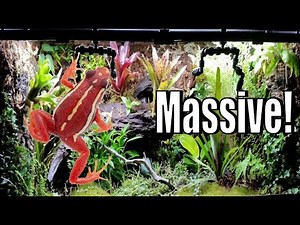 HUGE Tank with 50+ FROGS!!!