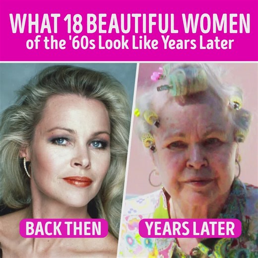 367K views · 1.6K reactions | What 50+ Beautiful Women of the '60s and '70s Look Like Years Later | CelebRatings | Facebook