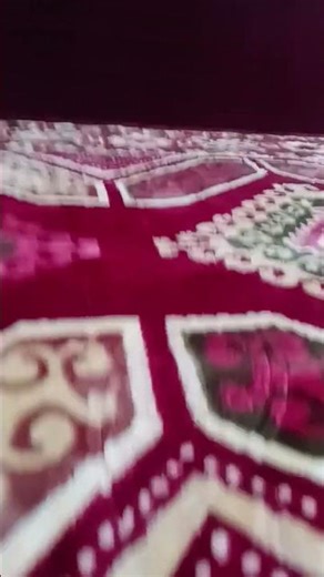 ١٣ فبراير ٢٠٢٦