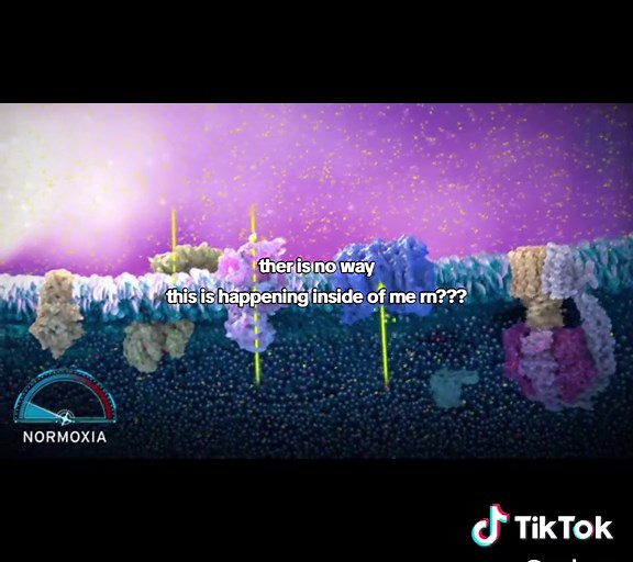 The Importance of Oxygen in Cellular Respiration Explained
