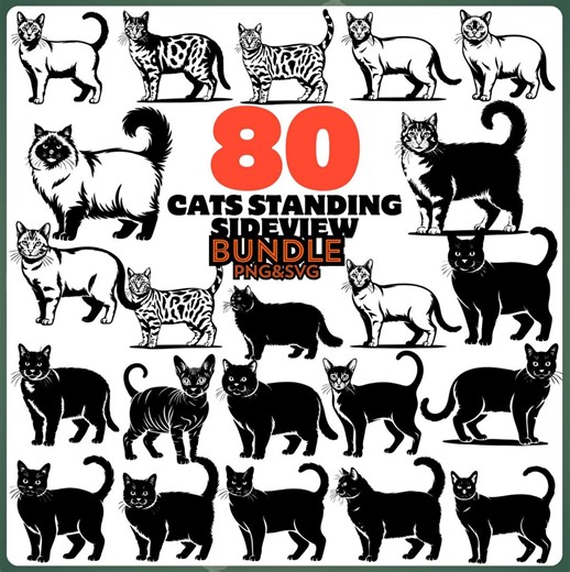 Cat Standing Side View Bundle SVG | Cat Silhouette Outline Clipart | Black Cat Line Art | Transparent Background PNG - Etsy