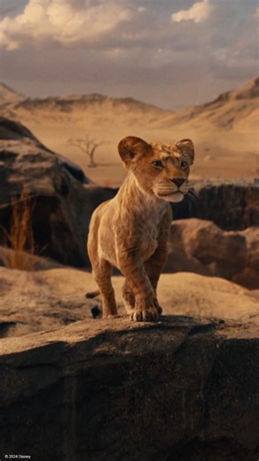Take a moment to admire the beauty of Mufasa: The Lion King! See the movie only in cinemas December 18. | Disney