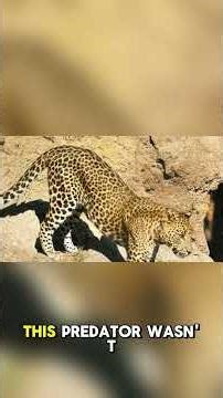 5 Things You Need to Know About The Predator's NEW Hunting Rules