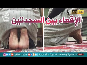 سلسلة صفة صلاة النبي ﷺ - الإقعاء بين السجدتين