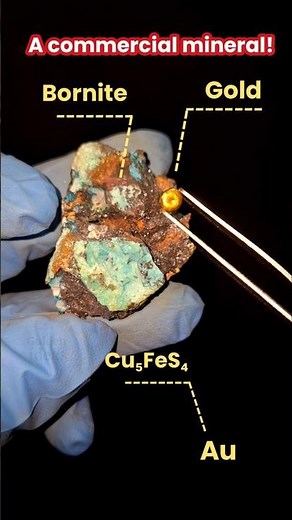The Hidden Gold Inside This Colorful Stone! #minerals