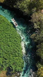 Sucuri River - Brazil | Marcos Vaz