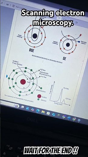 scanning electron microscopy of TiO2. #physics #engineering #nanoscience #science #experiment
