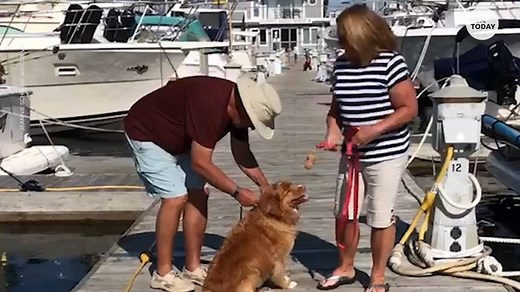 Metro Detroit kids kick cancer with free karate class