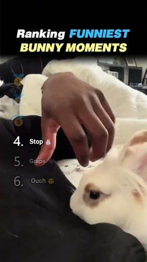 Ranking FUNNIEST BUNNY MOMENTS Core Moments!! 🐰😂