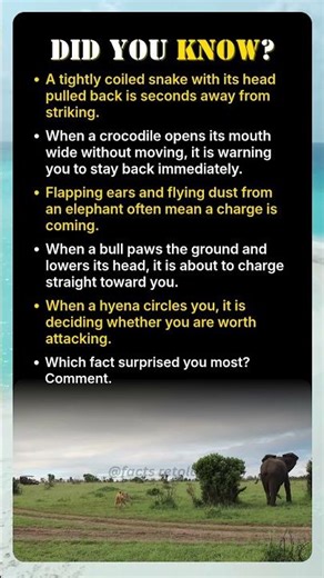 Animals Always Warn You Before Attacking — Here's The Signs