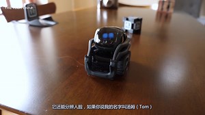 萌萌哒的Vector家庭智能机器人_Techchap