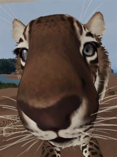 Mammoth Steals Sunbathing Spot: A Hilarious Encounter