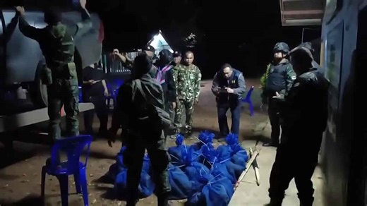 Monkeys and meth seized in cross-border trafficking raid in Thailand