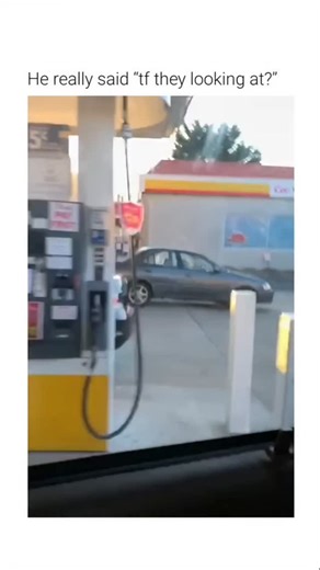 Meme || Troll || Scammers on Instagram: "This video captures a common behavioral response in domestic dogs known as social referencing and territorial vigilance. The Subject Two dogs, likely pit bull mixes, are observed sitting in the front seats of a stationary vehicle at a gas station. Their focused gaze and rigid posture indicate a high state of alertness toward their immediate surroundings. The Mechanism Dogs utilize their binocular vision and acute hearing to monitor external stimuli. When