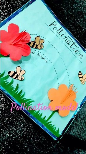 Pollination model#pollination #bee #project #model
