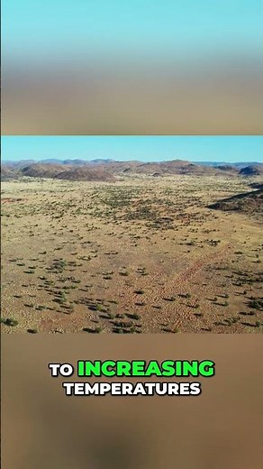The Key to Hydrocarbon Generation Unlocked #geology #oil #petroleum #australia #earthscience