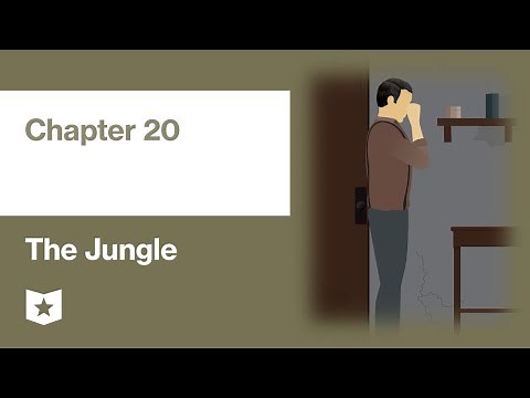 The Jungle by Upton Sinclair | Chapter 20